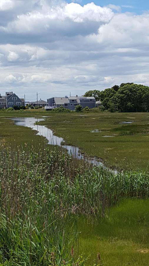 A Cape Cod Ocean Manor Inn Hyannis Eksteriør billede